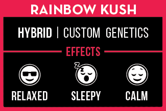 https://www.pixxl.la/_app/immutable/assets/Rainbow%20Kush%20details.5094eec5.png